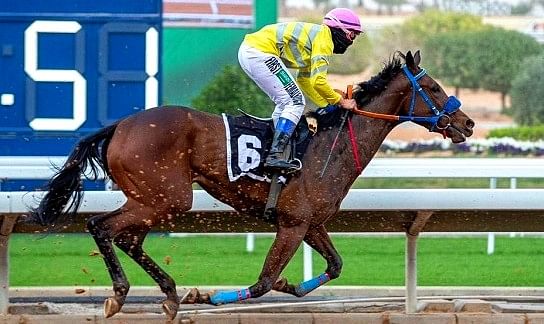 أول خيالة سعودية