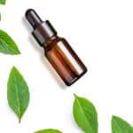 فوائد زيت الريحان للشعر.. يساعدك على علاج القشرة والتساقط