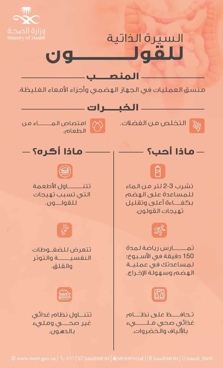 ضوابط الحفاظ على القولون ومنع تهيجه.. «الصحة» توضح