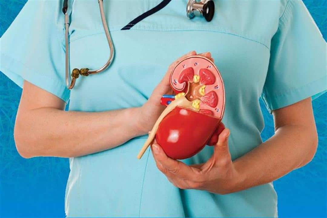 4 نصائح لتجنب حصوات الكلى في رمضان .. «استشاري» يكشف