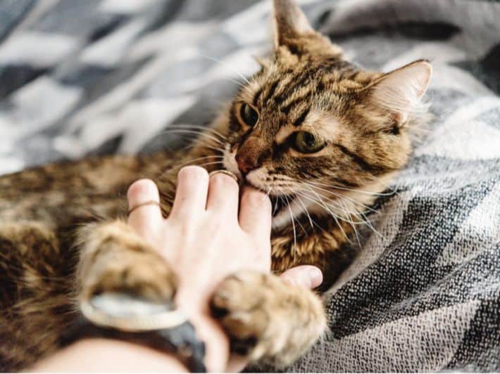 الأمراض المعدية