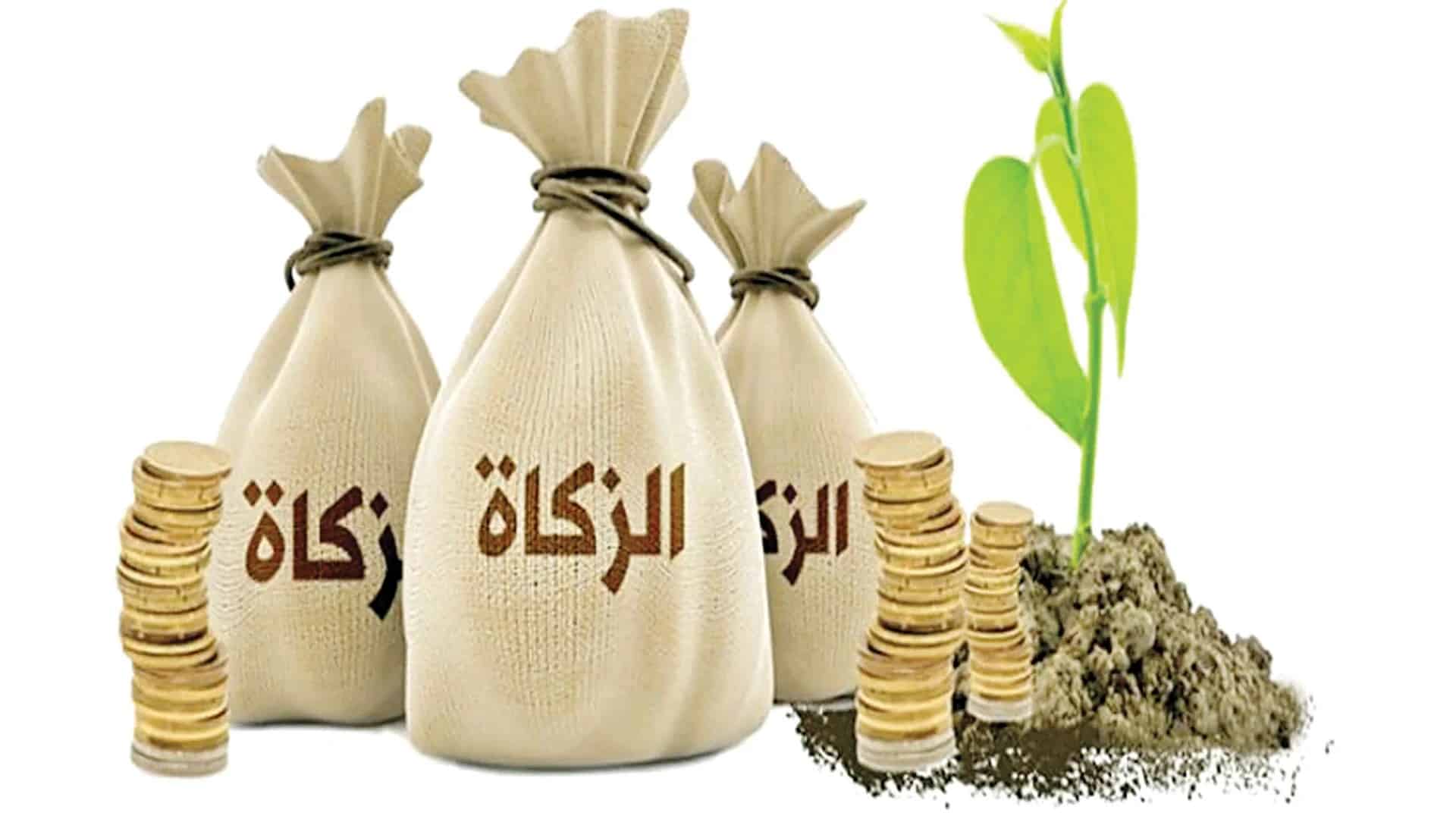 أبرز 5 أسئلة شائعة حول زكاة الفطر 2023