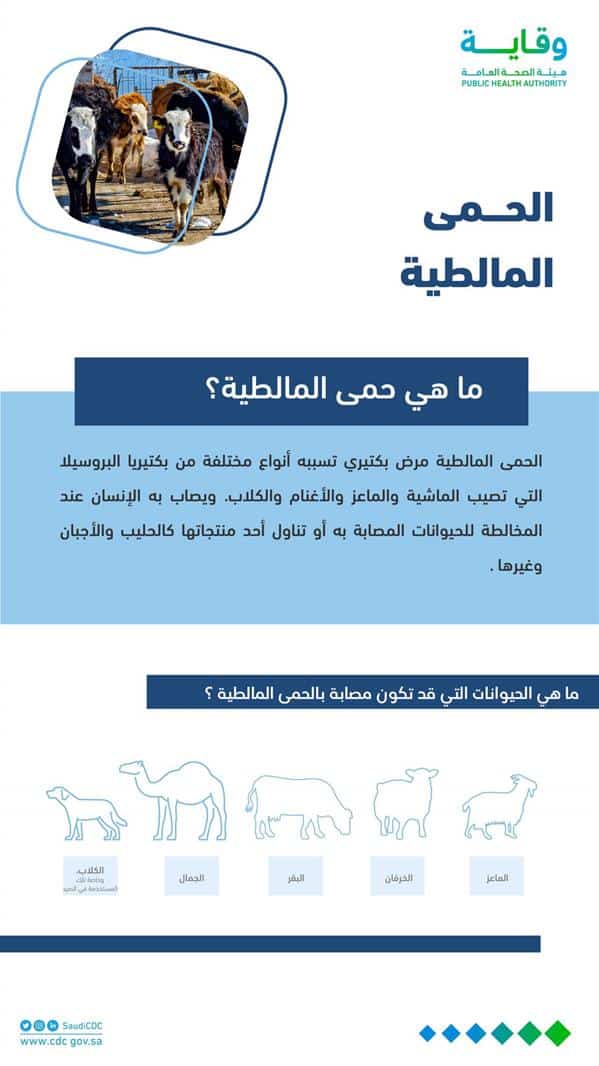 ماهي الحيوانات المعرضة للإصابة بالحمى المالطية وتنقله للإنسان؟.. «وقاية» توضح