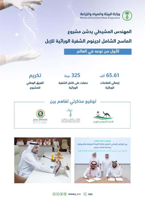 الأول من نوعه في العالم.. تصميم شفرة وراثية خاصة بالإبل