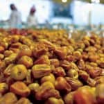 معرض التمور الثاني بالرياض