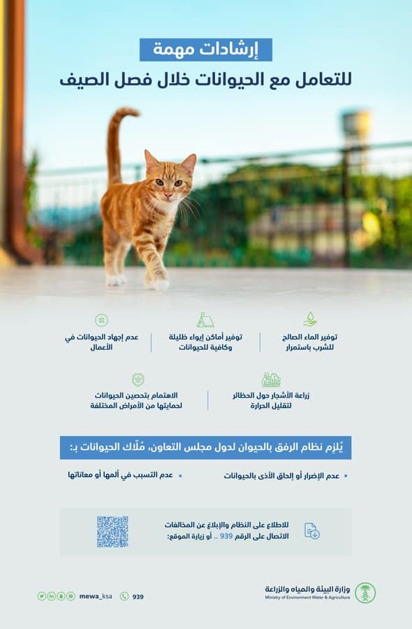 التعامل مع الحيوانات في الصيف .. إليك هذه النصائح