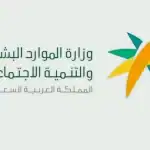 معيار تحديد أجور وبدلات الموظف .. «الموارد البشرية» توضح 