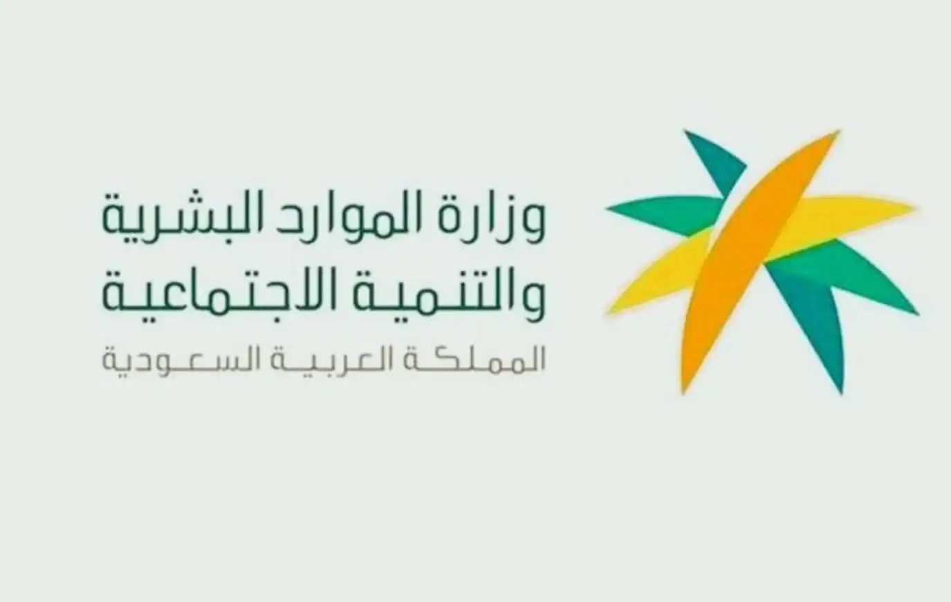 معيار تحديد أجور وبدلات الموظف .. «الموارد البشرية» توضح 