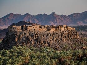 يقدم مهرجان الممالك القديمة السنوي تجارب فريدة تحبس الأنفاس