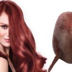 الشمندر للشعر