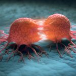 الخلايا السرطانية