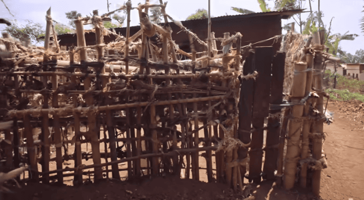 حبس نفسه خوفا من النساء