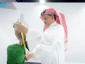 ليلة حماسية من مزاد نادي الصقور .. بيع ثاني أغلى صقر بالنسخة الرابعة