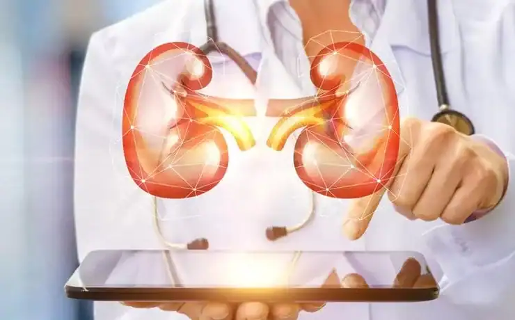 هل للنظافة الشخصية علاقة بالإصابة بالنهاب المسالك البولية؟