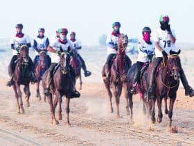 بطولة العالم للقدرة والتحمل