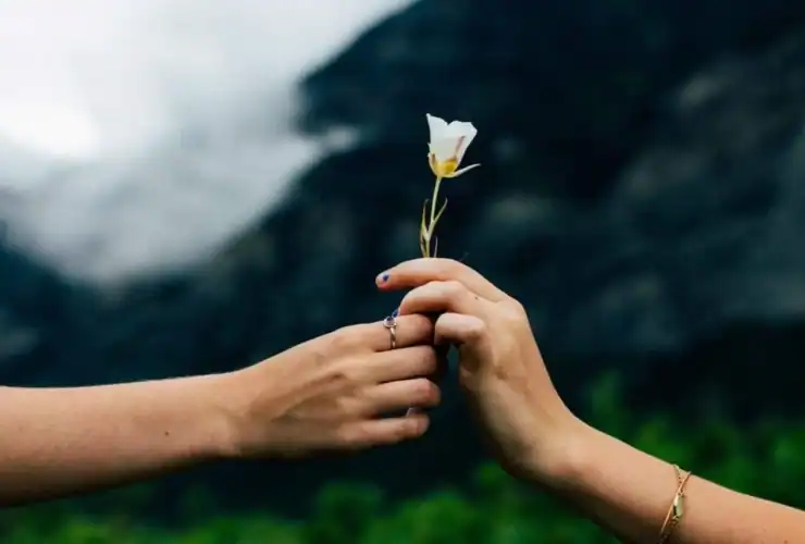 كيف تستقبلي اليوم العالمي للتسامح؟ .. نصائح لحياة هادئة ومريحة