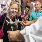 سوق القيصرية بالأحساء