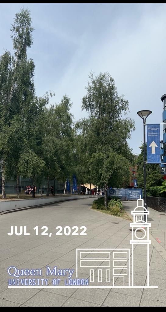 جامعة ماري كوين