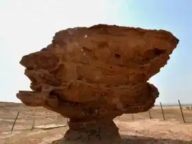 مسؤول بالتراث: أي جزء جغرافي في المملكة لا يخلو من المواقع الأثرية