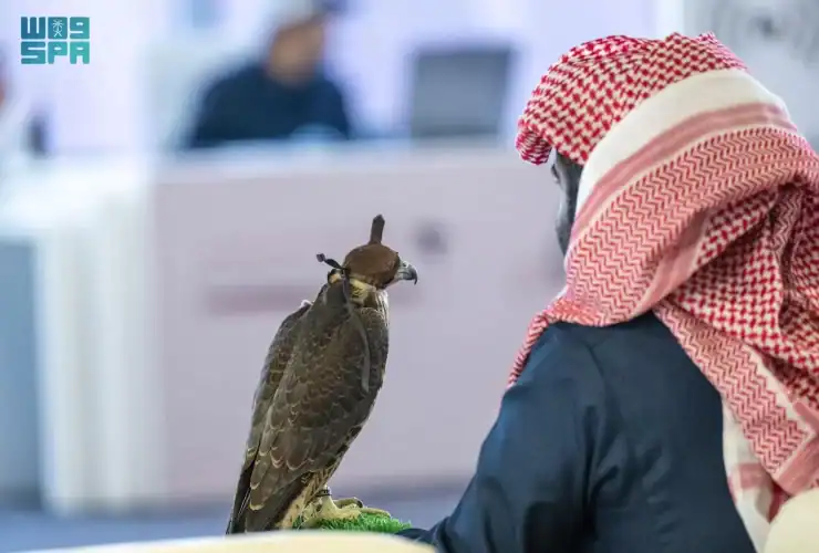 مهرجان الملك عبدالعزيز للصقور 2023 .. إرث مستدام وتطوير لهواية أصيلة