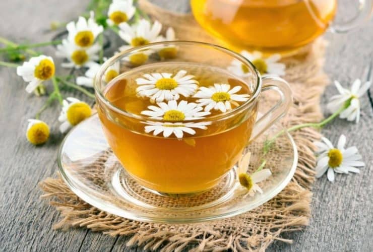 فوائد البابونج للتوتر والقلق.. خفض أعراض الاكتئاب
