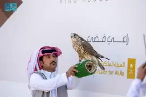 الصقر تعاون مع صاحبه