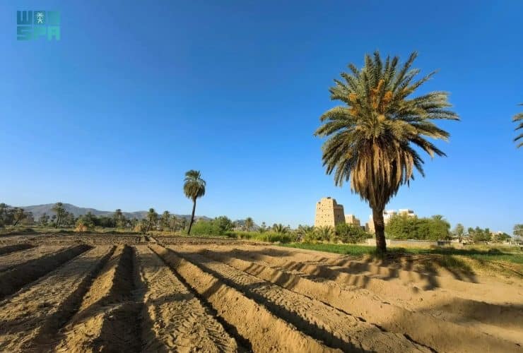 بيوت الطين في نجران .. تصاميم معمارية فريدة وتناغم فني ساحر