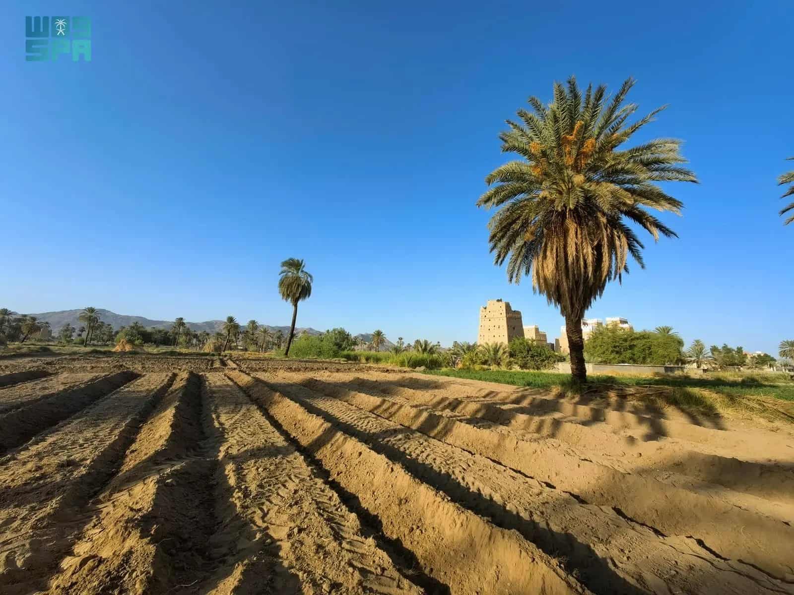 بيوت الطين في نجران .. تصاميم معمارية فريدة وتناغم فني ساحر
