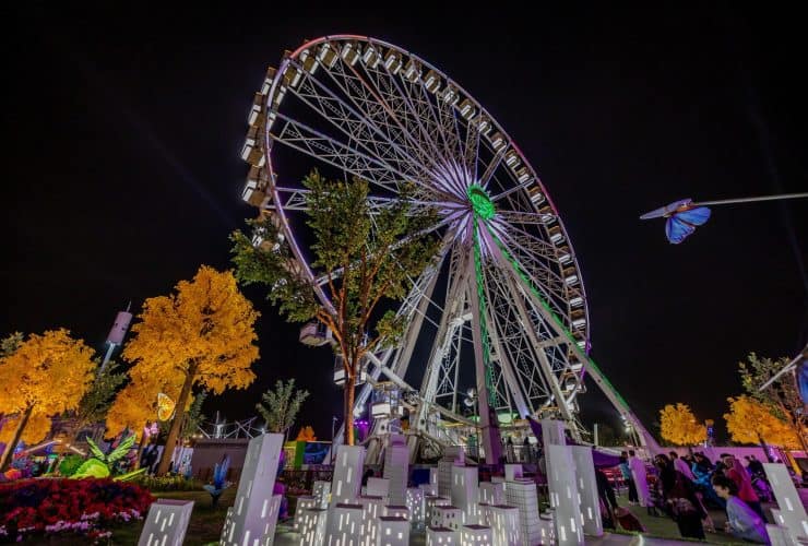 تجربة «55M Wheel» في عين ونتر جاردن.. شاهد الرياض من ارتفاع 60 متر