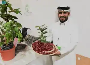 مهرجان خيرات محايل عسير