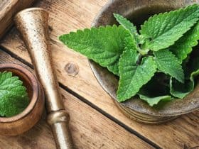 عشبة المليسا