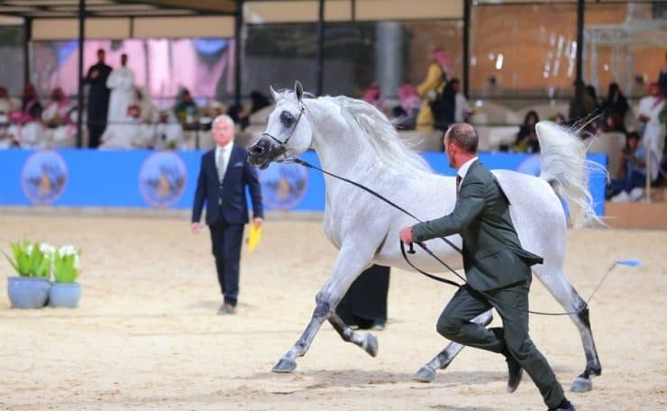 مهرجان الدرعية