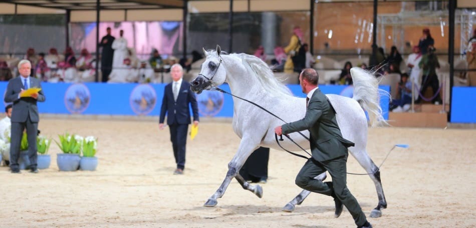مهرجان الدرعية