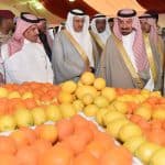 مهرجان نجران للحمضيات