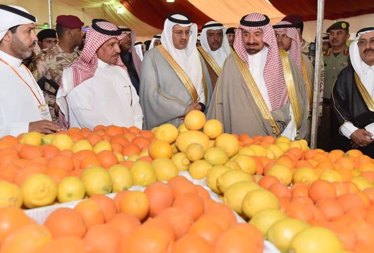 مهرجان نجران للحمضيات