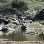 وادي بيض في جازان.. مقصد سياحي جذاب بطبيعة ساحرة