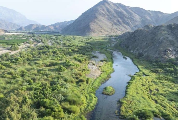 وادي الأحسبة