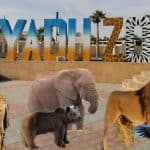 حديقة الحيوان بالرياض