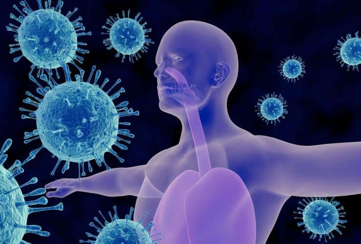 كيفية تعزيز المناعة بمضادات الأكسدة.. وإليك أهم مصادرها