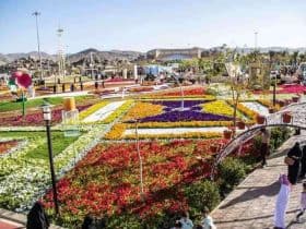 الطائف 2023