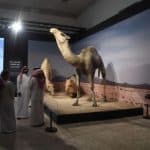 معرض على خطى الرسول