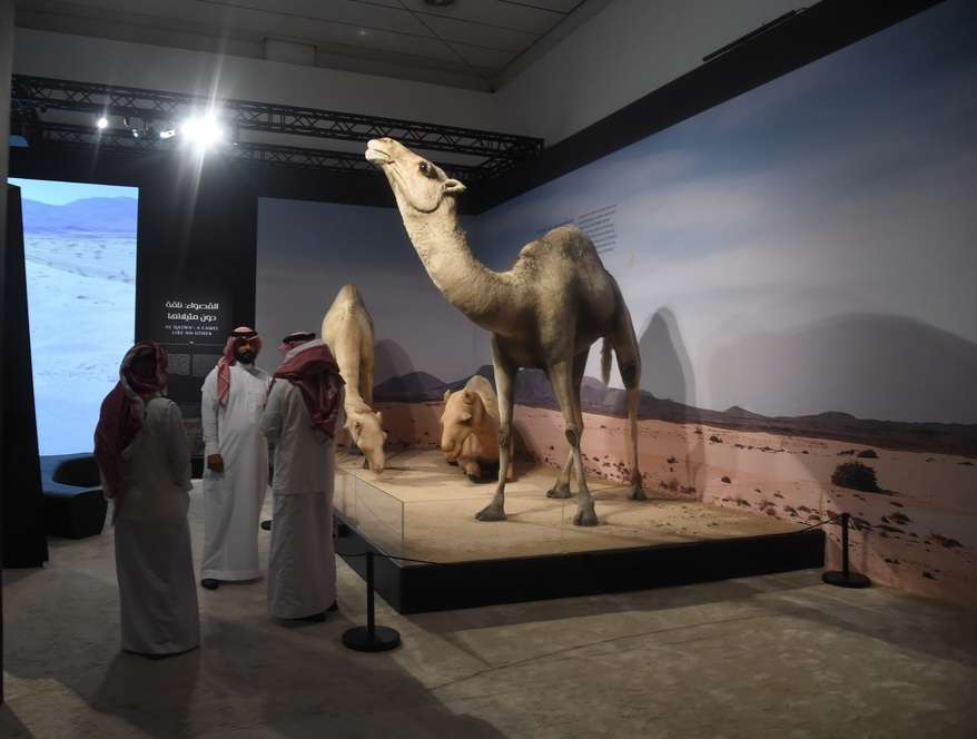 معرض على خطى الرسول