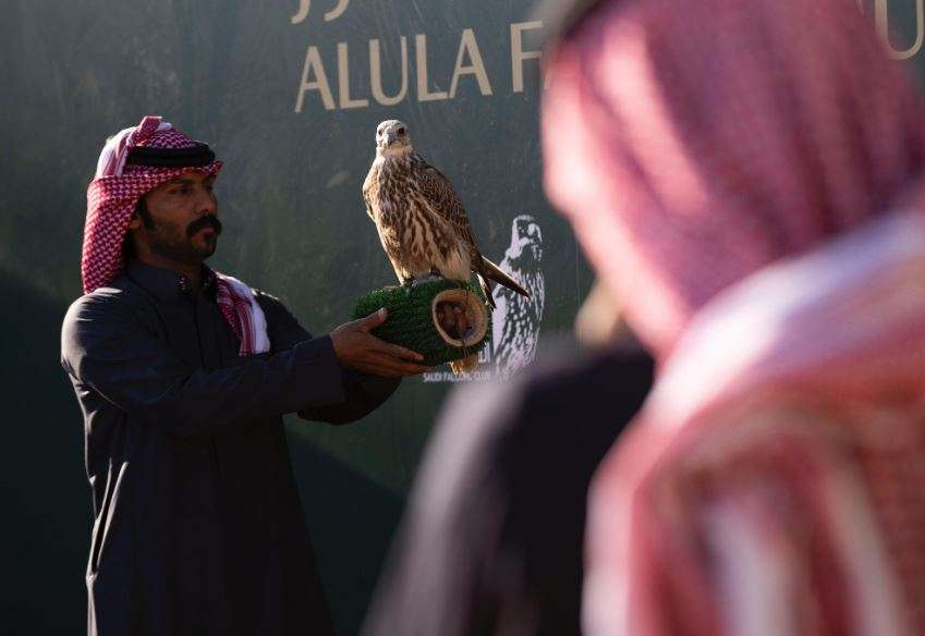 كأس العلا للصقور