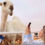 مهرجان الملك عبد العزيز للإبل