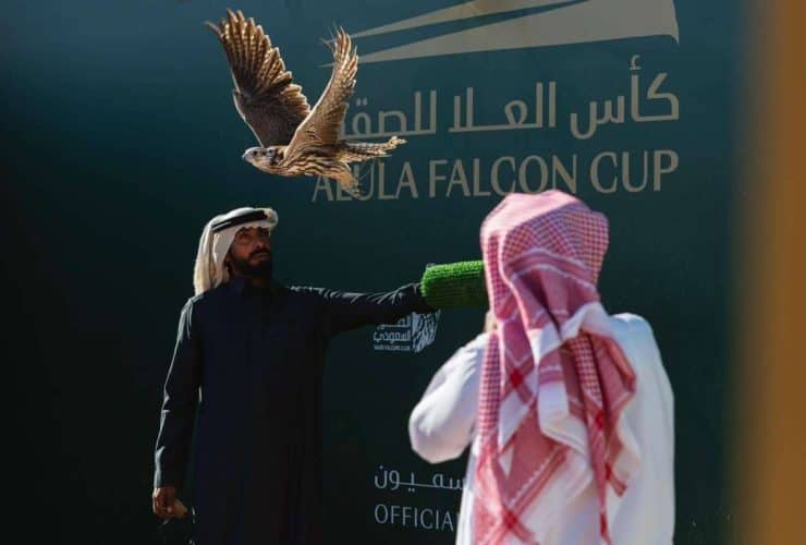 كأس العلا للصقور