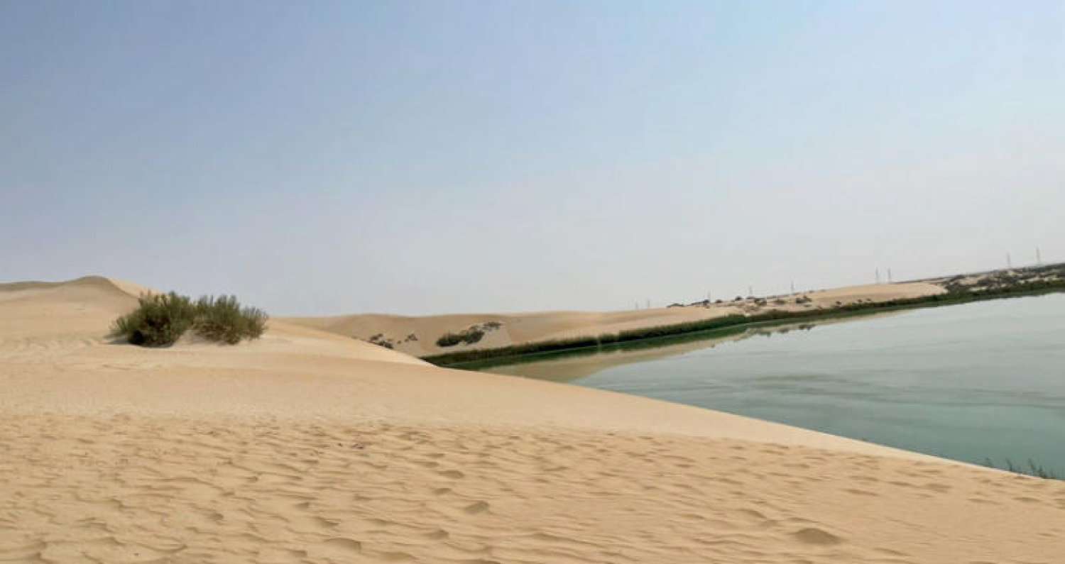 بحيرة الأصفر