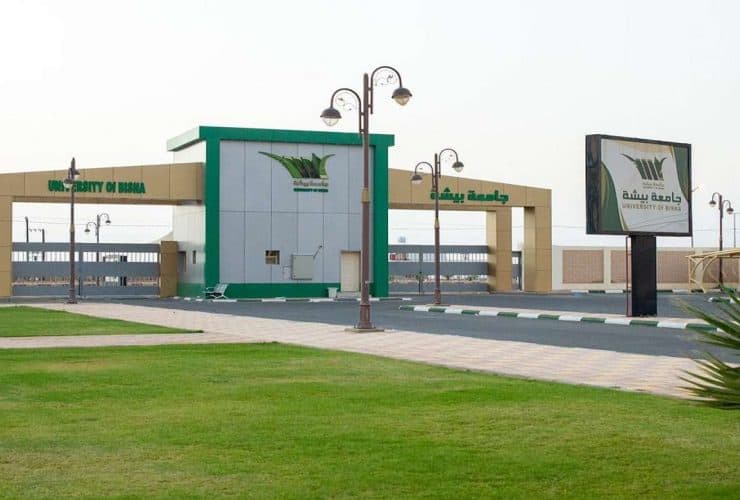 جامعة بيشة