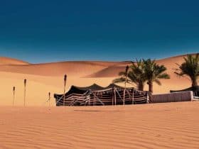 الصحراء