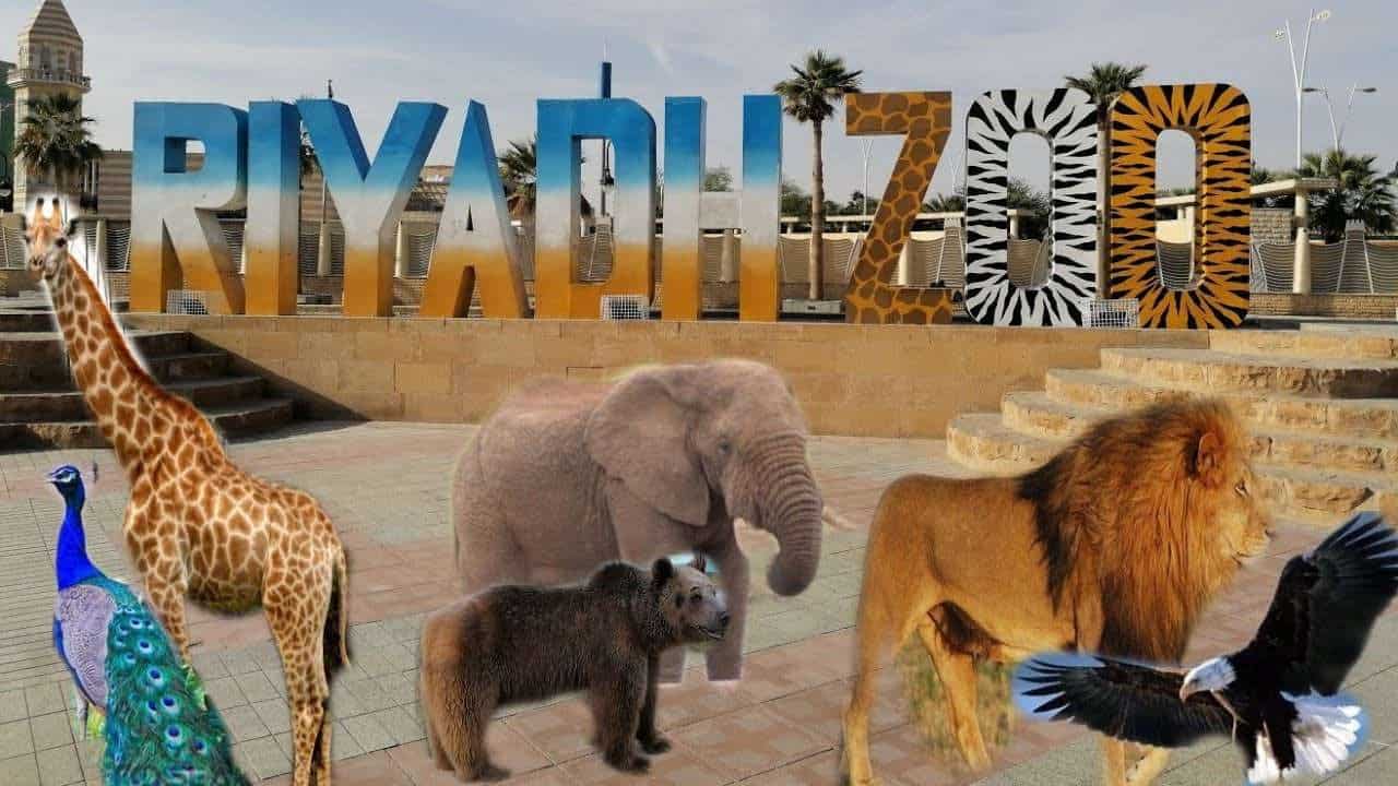 حديقة الحيوان بالرياض لمحبي أدغال إفريقيا.. المواعيد وطريقة الحجز