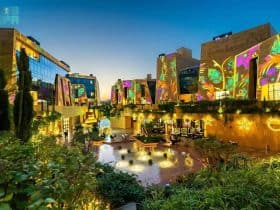 منطقة فيا رياض